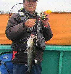 中波止でエビ撒き、ハネGET！