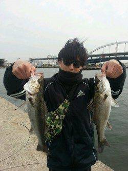 大阪南港でエビ撒き釣り、最終釣果はハネ10匹オーバー