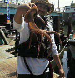 沖一文字北、オクトパッシングでもタコ狙えます！