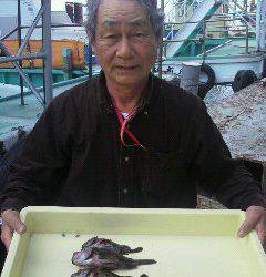 沖一文字スリットでのガシラの釣果