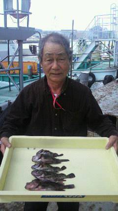 沖一文字スリットでのガシラの釣果