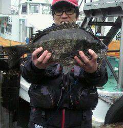中波止2番のフカセでは良型のチヌが釣れました