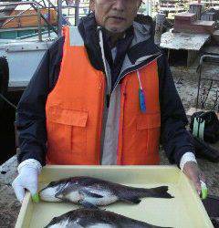 沖一文字白灯で紀州釣り、良型チヌもあがっています。