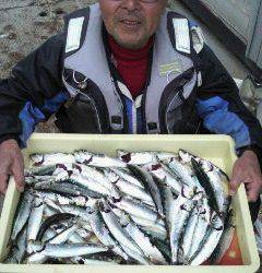 沖一文字北イワシ大漁です！