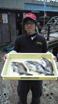 沖一文字で紀州釣り★チヌ 32〜36センチ…