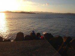 堺・一本松漁港でのフカセ釣り、45cmまでのヒラセイゴが５本