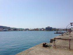 串本でのナイトアジング、底から表層まで探り何とか２４匹get