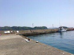 串本港 常夜灯回りのアジングでアジ14匹