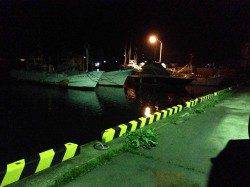 浦神湾でのナイトアジング、２０㎝前後のアジ８匹