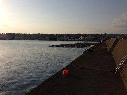 串本港 サイトのエギングでアオリイカ3バイ