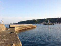 串本港 アジングで尺アジまじりで12匹☆ アタリはボトム