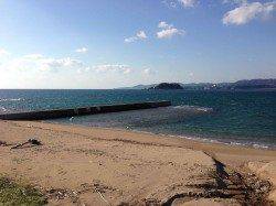 みなべエリア、地磯でコッパグレとガシラの釣果