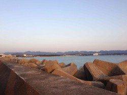 田辺港 フカセ釣りでヒラセイゴ＆ガシラ☆