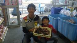 堺漁港 ズボ釣りのキビナゴエサでガシラ大漁…