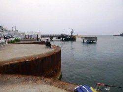 食コン★ガシラ釣れてます★