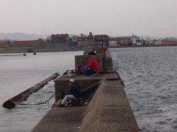 中波止でハネ♪泉大津RT　１０日　朝