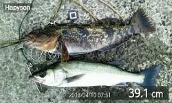 泉佐野食コン　ハネにポン★ 