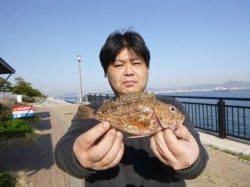 神戸空港RT、良型ガシラ釣れる