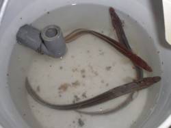 夜の兵突とサビキ釣り！