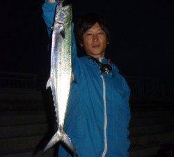 激アツ！！マリーナシティのサゴシ！！