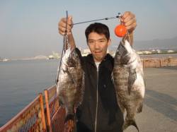 【ベランダも本格化!?】南芦屋浜リアルタイ…