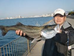 【エビ撒きがイイ♪】南芦屋浜リアルタイム