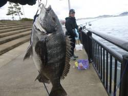 神戸空港ＲＴ、チヌ来た～