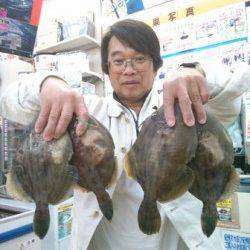 激アツ！デカカワハギ爆釣！！