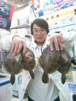 激アツ！デカカワハギ爆釣！！ 