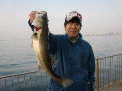 【いい感じ】南芦屋浜リアルタイム