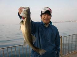 【いい感じ】南芦屋浜リアルタイム