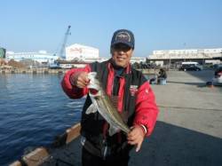 いい濁りです。潮が動けば！泉大津RT28日…