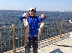 【スズキ７０ｃｍでた！】南芦屋浜エビ撒き