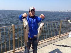  【スズキ７０ｃｍでた！】南芦屋浜エビ撒き…