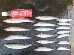 キス好調♪゛inマリーナシティ