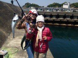 堺漁港 サビキ＆カゴ釣りでガシラ・イワシ・小サバで満足釣果☆