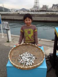 沢山釣れてブイ！ファミリーさびき釣り