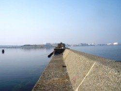 ポカポカいいお天気です♪ 泉大津RT18日朝