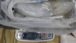 椿地磯 アタリが少ない中でもヤエンでアオリ…