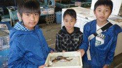 芳養漁港 お子様3人でガシラ3匹