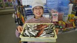 堺漁港 サビキ＆カゴ釣りでガシラ・イワシ・…