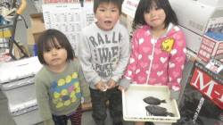 堺漁港　お子様釣果　青虫でグレが釣れた！