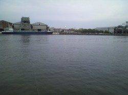 大阪南港周辺１５時～１８時のエビ撒き釣り釣果