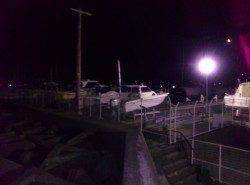 ヨットハーバーで30分程のメバリング釣行、最大26cmのメバル！