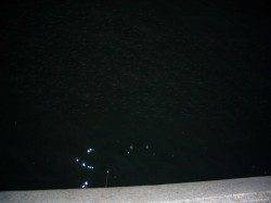 淀川河口 ルアーでシーバス45cmがヒット!