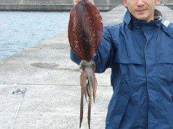 堺・一本松漁港、2回目のアタリでキロアップしっかりキャッチ！