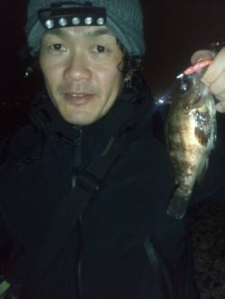 りんくう メバリングで20cm弱のメバル3…