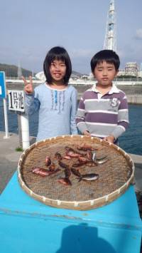 ファミリーフィッシング★サビキでガシラが大…