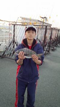 マリーナ海釣り公園、釣り少年が紀州釣りでチ…