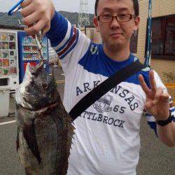 カゴ釣りでチヌ50cm！マリーナシティ釣り公園